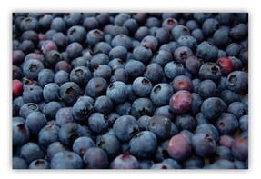 14_whitening-myths_blueberries